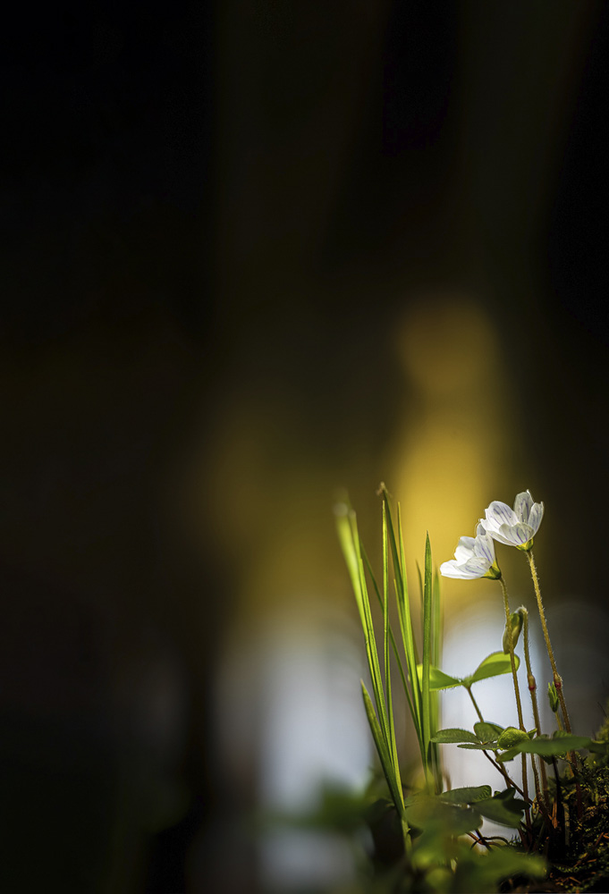 Platz 4 Conny Kleiner